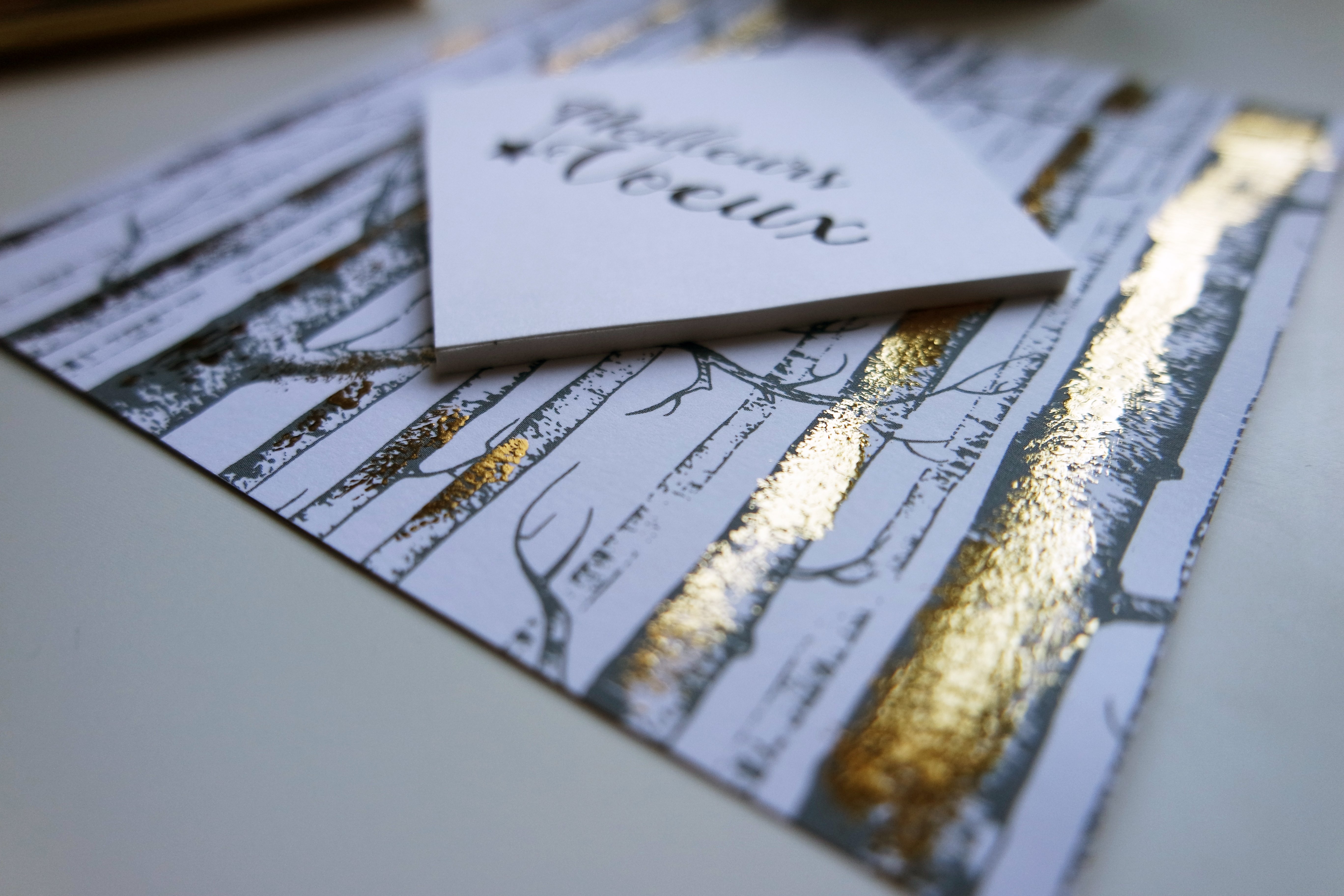 Carte Minc Scrapmalin