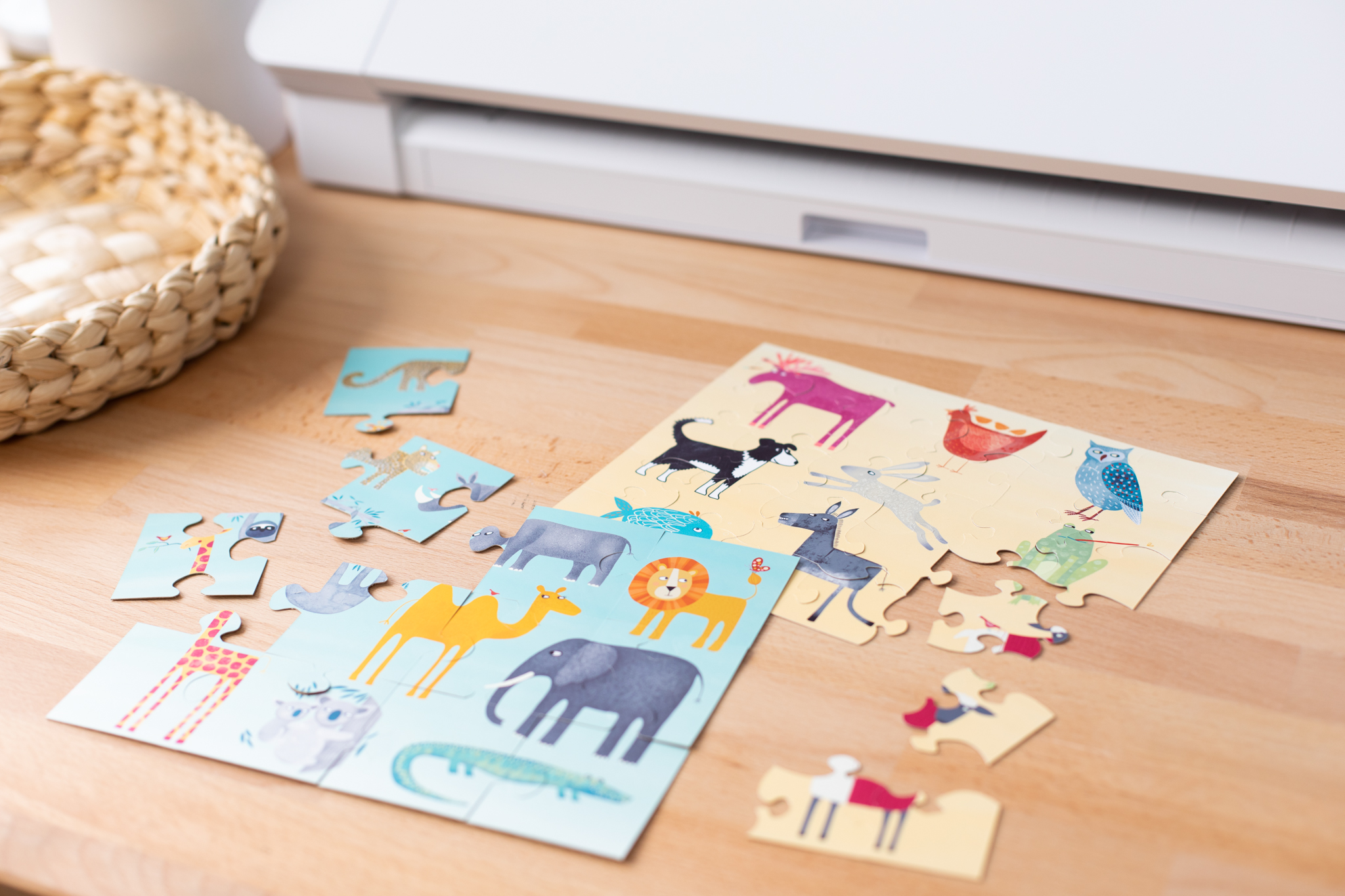 Puzzle cameo